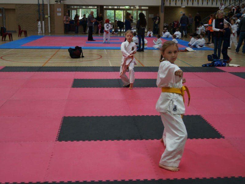Juniors Martial Arts & Karate Classes | Peninsula karate